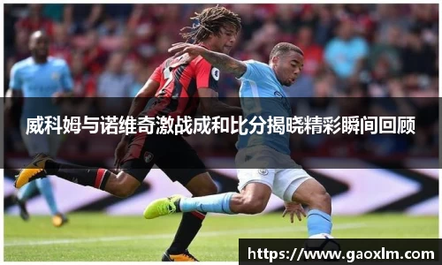 威科姆与诺维奇激战成和比分揭晓精彩瞬间回顾