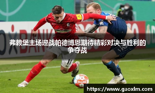 弗赖堡主场迎战帕德博恩期待精彩对决与胜利的争夺战