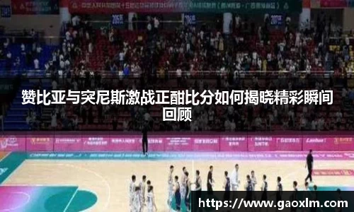 赞比亚与突尼斯激战正酣比分如何揭晓精彩瞬间回顾